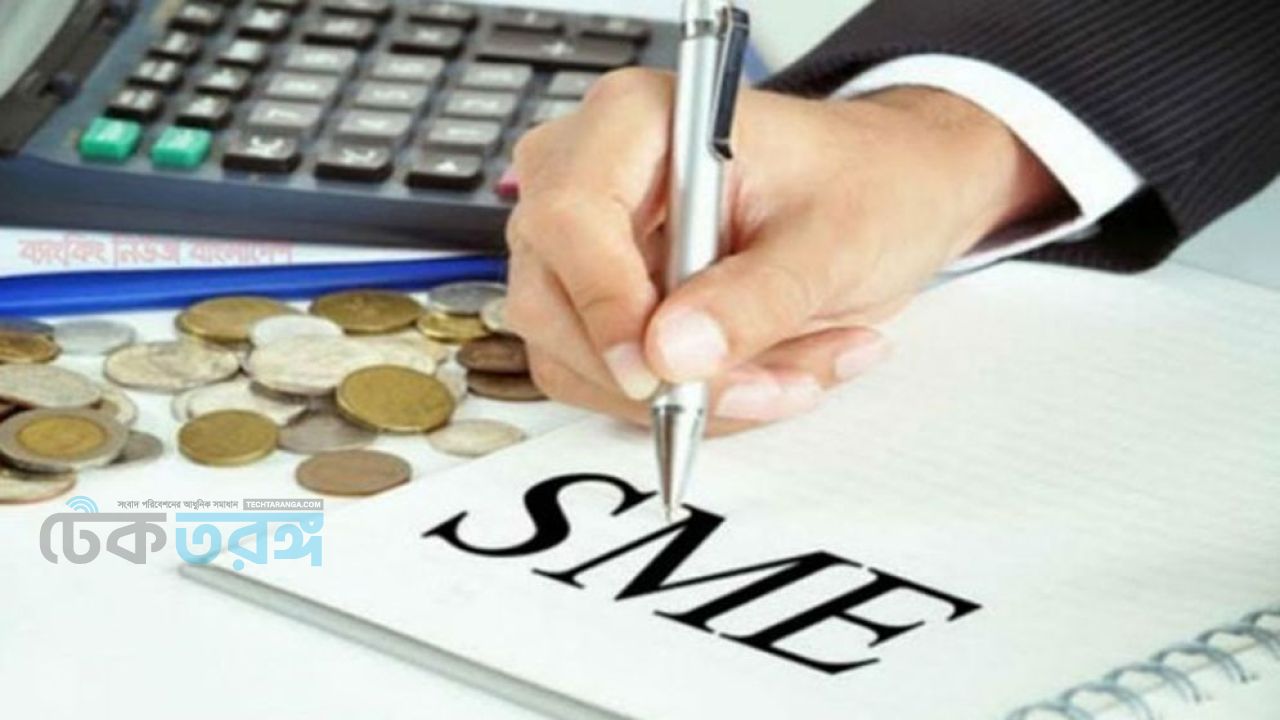 পিছিয়ে পড়ছে দেশের সম্ভাবনাময় এসএমই খাত