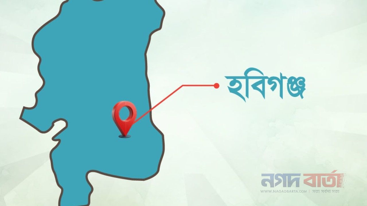 হবিগঞ্জে ছেলের হাতে বাবা খুন